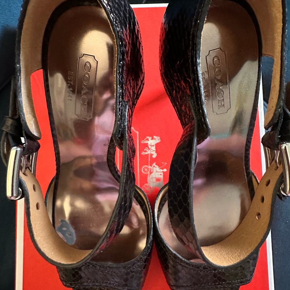 Coach Black Python Sistine Heel Pumps - image 4